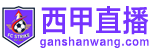 西甲直播 西甲直播